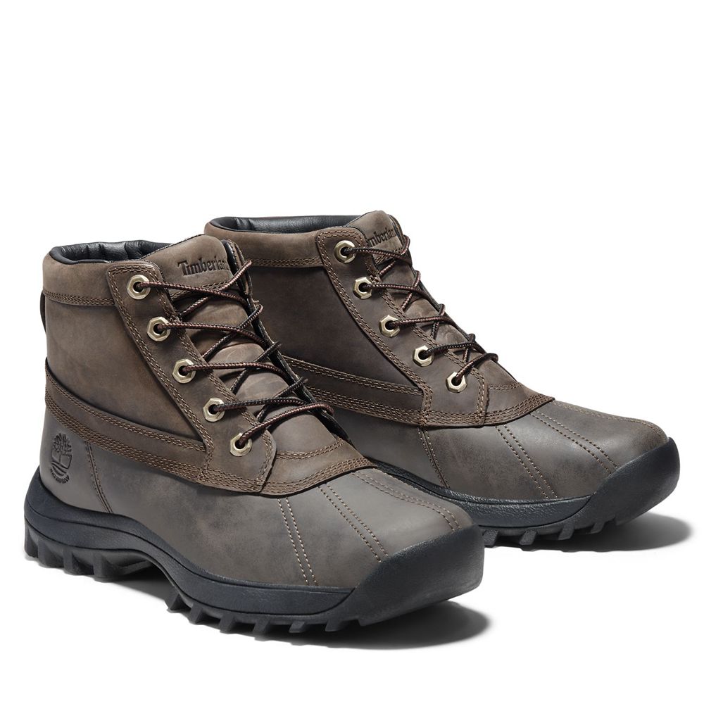 Botas de Nieve Timberland Hombre Canard Mid Waterproof Cuero Marrones - Chile FNX-670581
